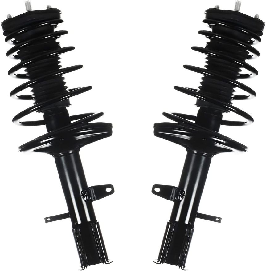 Main Image - Rear Struts w/Coil Spring