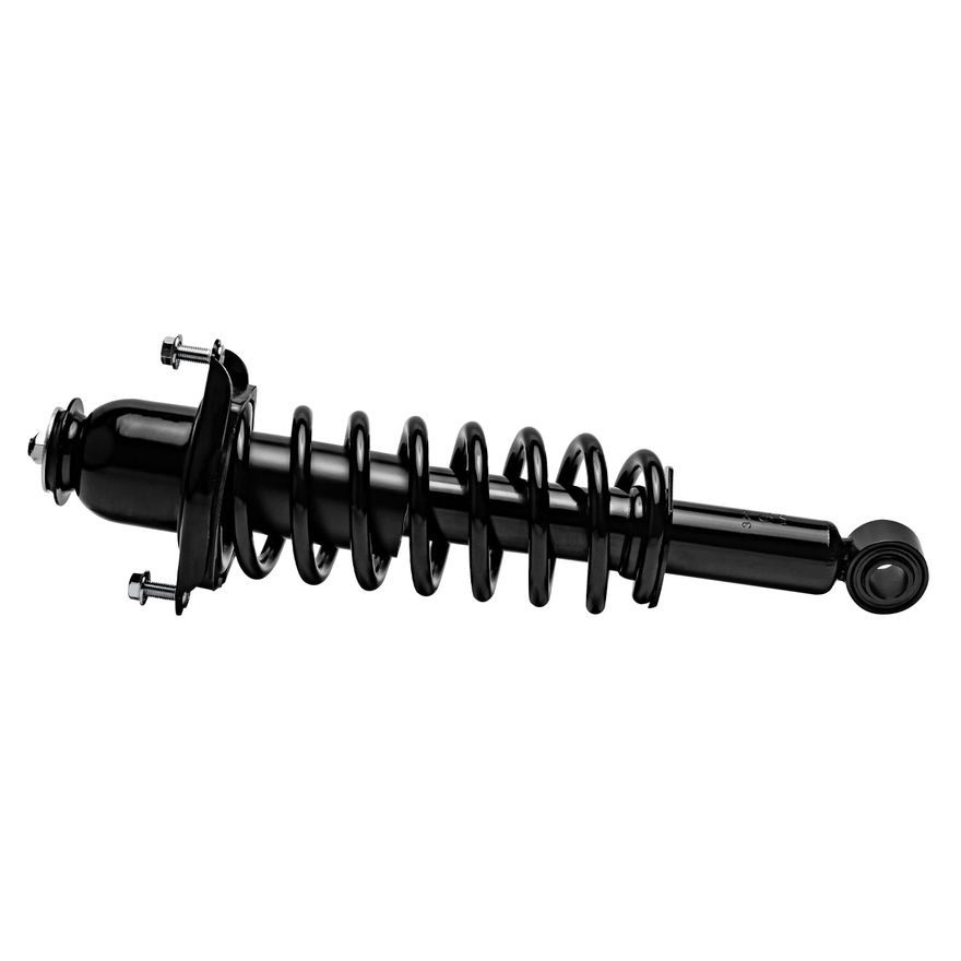 Rear Left Strut w/Coil Spring - 172991L