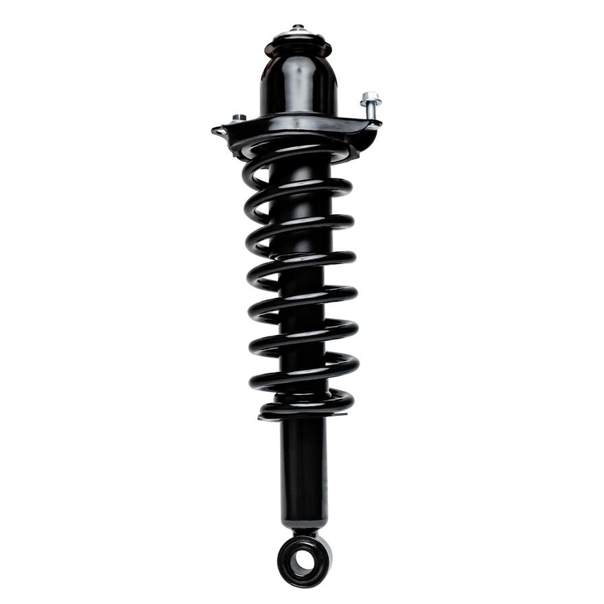 Rear Struts w/Coil Spring - 172991L / 172991R