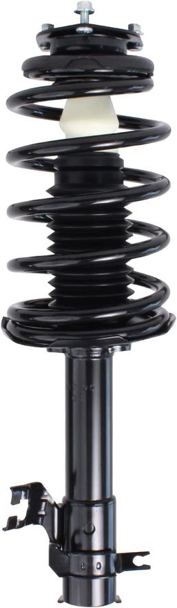 Front Struts w/Coil Spring - 172105 / 172106