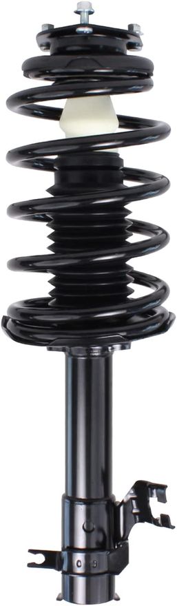 Front Struts w/Coil Spring - 172105 / 172106