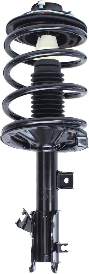 Front Strut w/Spring - 172271 / 172272