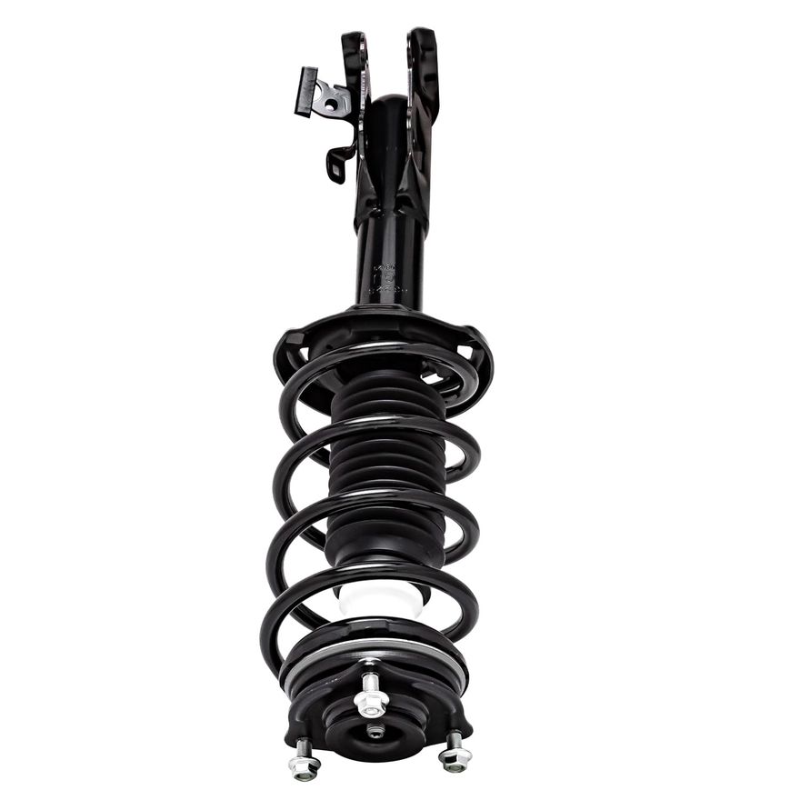 Front Strut w/Coil Spring - 172284 / 172285