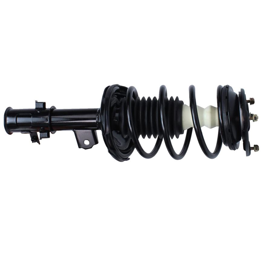 Front Strut w/Coil Spring - 172297 / 172298