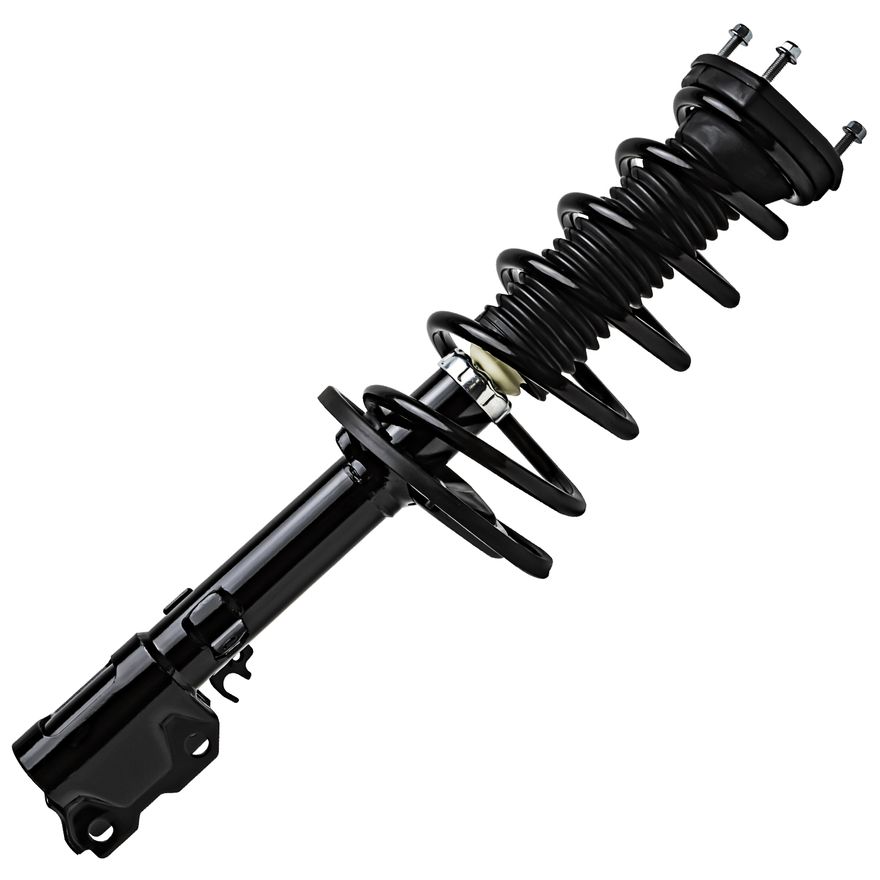 Rear Strut w/Coil Spring - 172309 / 172310