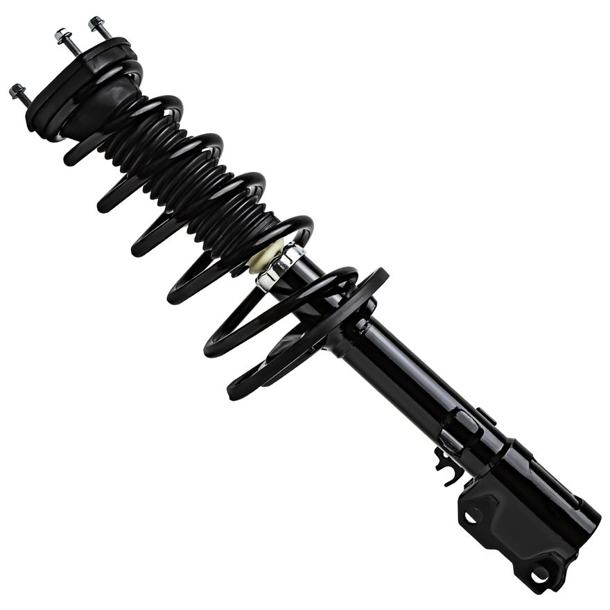 Rear Strut w/Coil Spring - 172309 / 172310