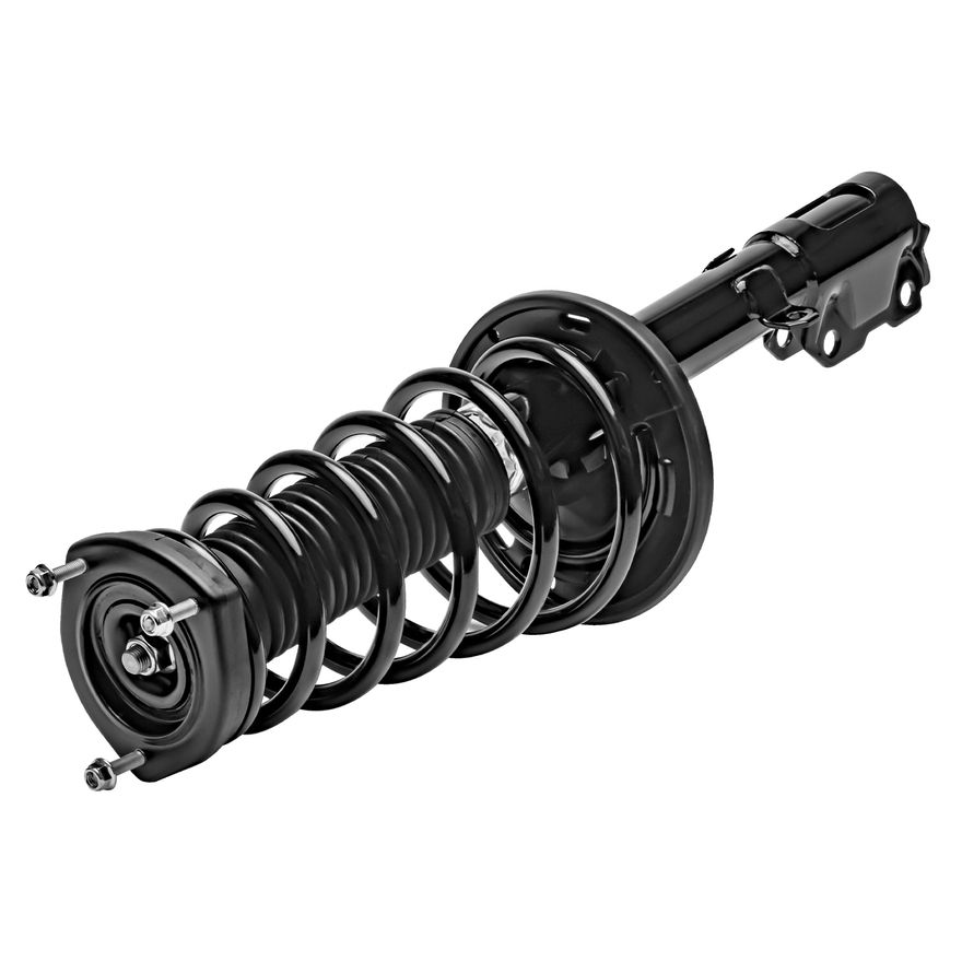 Rear Left Strut w/Coil Spring - 172310