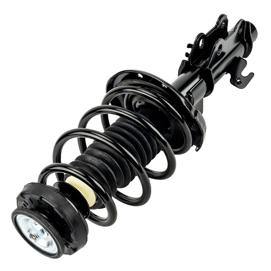 Front Strut w/Coil Spring - 172359 / 172360