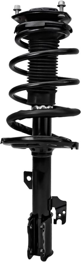 Front Strut w/Spring - 172365 / 172366