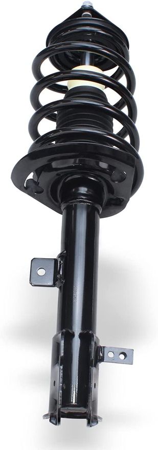 Front Strut - 172367