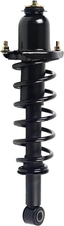 Rear Right Strut w/Coil Spring - 172394R