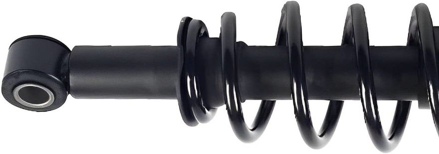 Rear Right Strut w/Coil Spring - 172394R