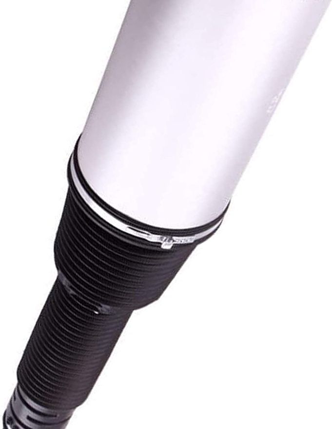 Rear Air Strut - 220 320 50 13