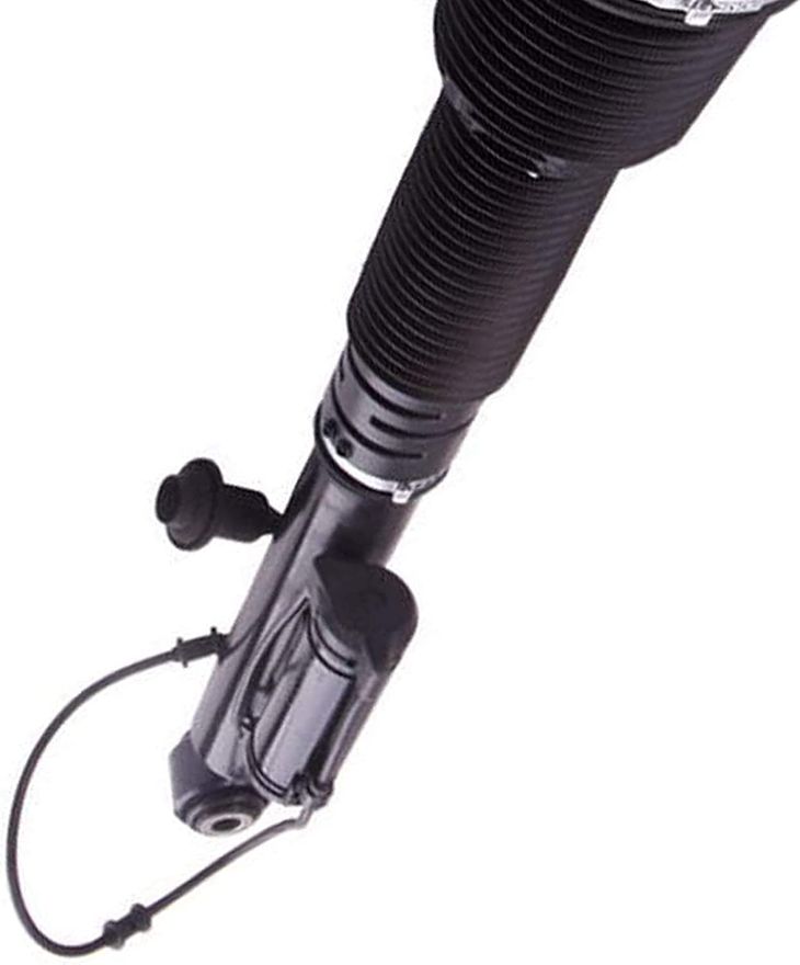 Rear Air Strut - 220 320 50 13