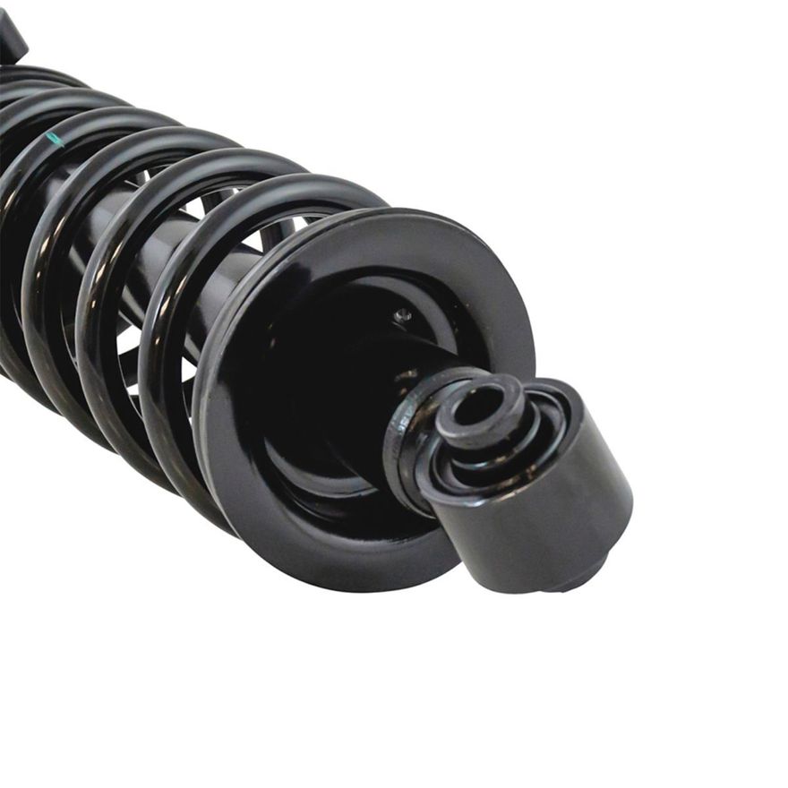 Rear Strut w/Coil Spring -2345766