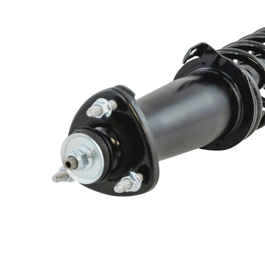 Rear Strut w/Coil Spring -2345766