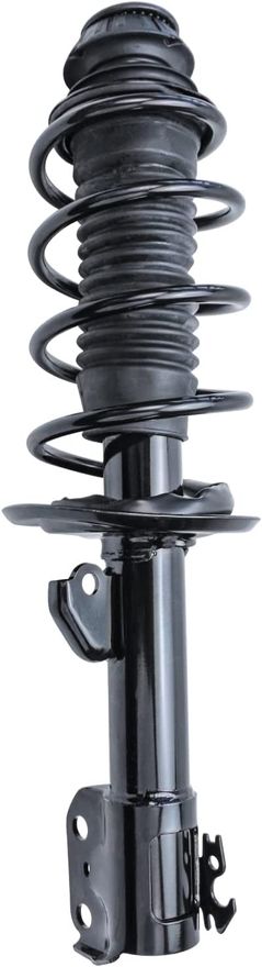 Front Struts w/Coil Spring - 272288 / 272289