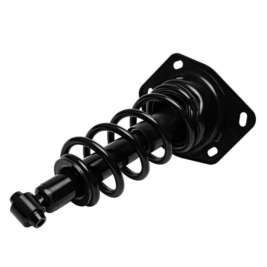 Rear Left Strut w/Coil Spring - 273029L