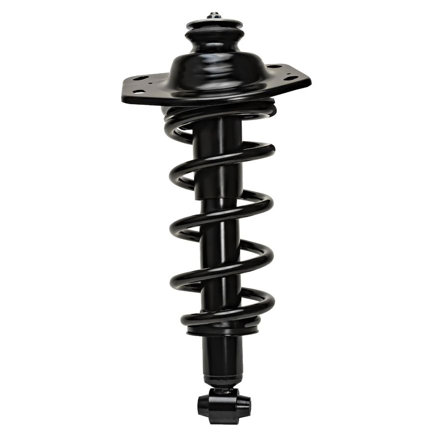 Rear Left Strut w/Coil Spring - 273029L