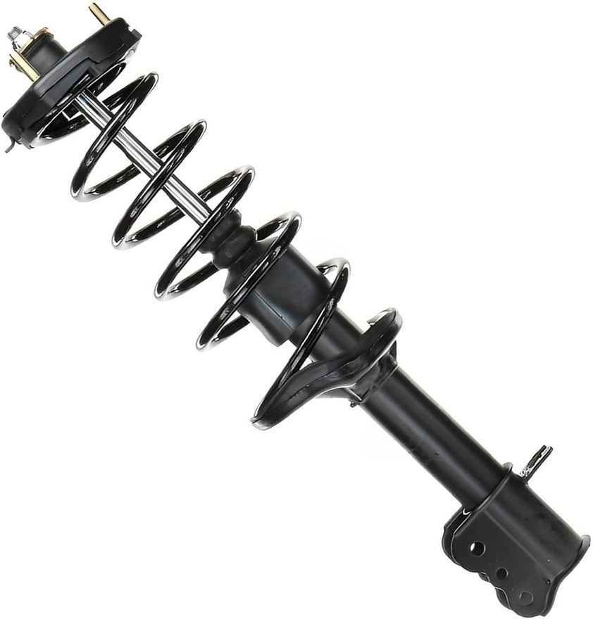 Rear Right Strut w/Coil Spring - 281588