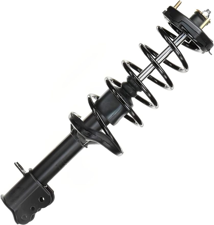 Main Image - Rear Left Strut w/Coil Spring